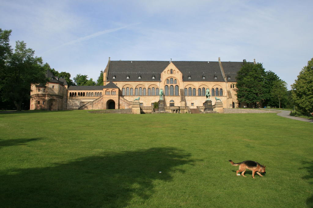 Fachwerkferienhaus Helmbrecht Goslar Ngoại thất bức ảnh